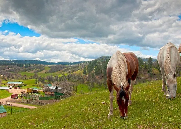 Diamond 7 Bar Guest Ranch