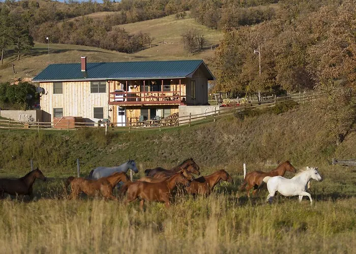 Diamond 7 Bar Guest Ranch Farm stay Alva